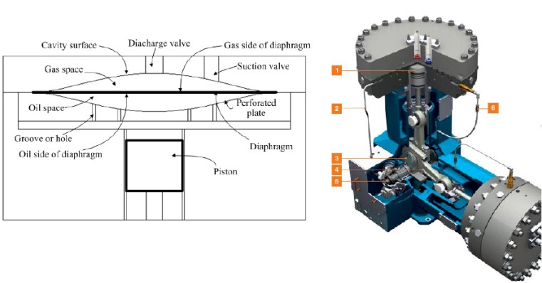 saliid ku jirta diaphragm